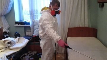 убить клопов екатеринбург