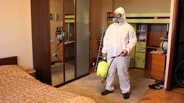 уничтожение клопов туманом