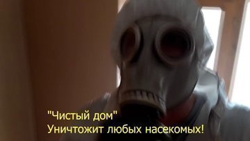 сухой туман от клопов