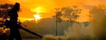 форс сайт от клопов