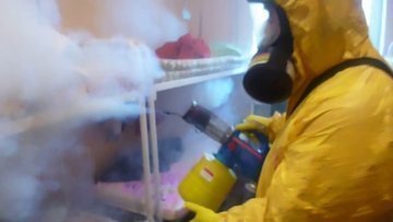 холодная обработка клопов