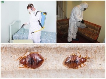 обработка общежитий от клопов