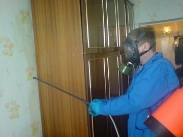 профилактика клопов в общежитии